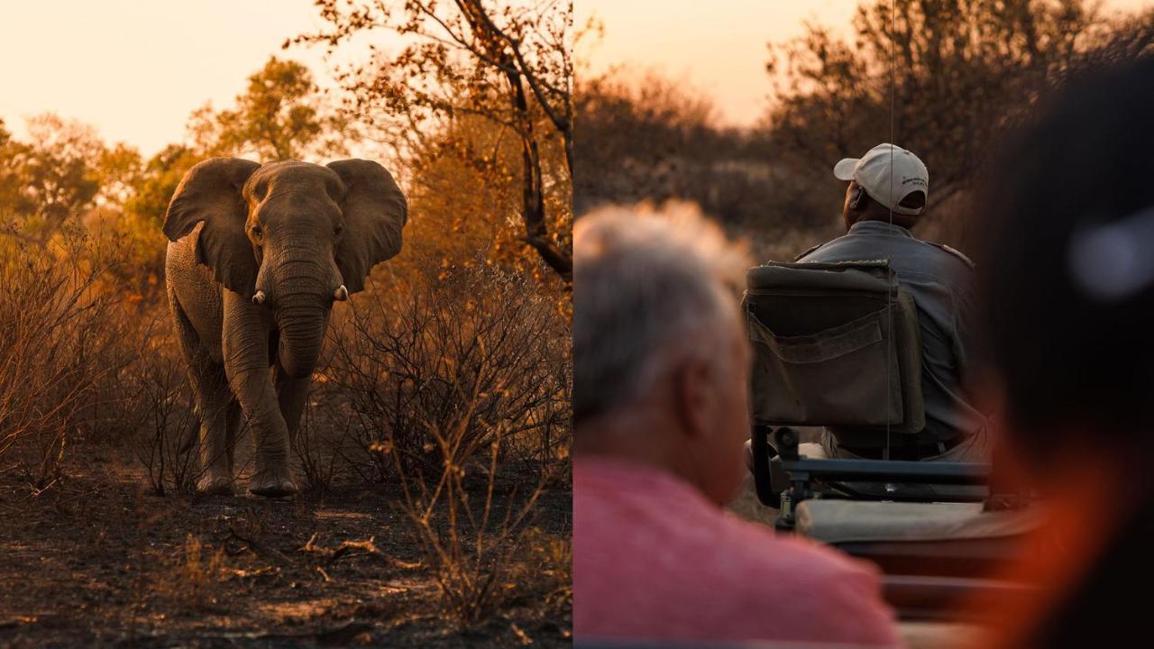 Geiger'S Camp In Timbavati Game Reserve By Newmark Екстер'єр фото