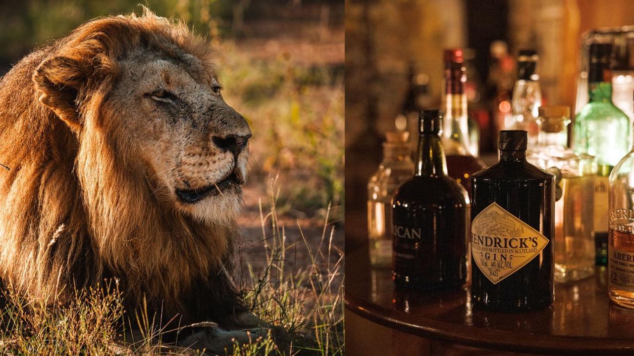 Geiger'S Camp In Timbavati Game Reserve By Newmark Екстер'єр фото